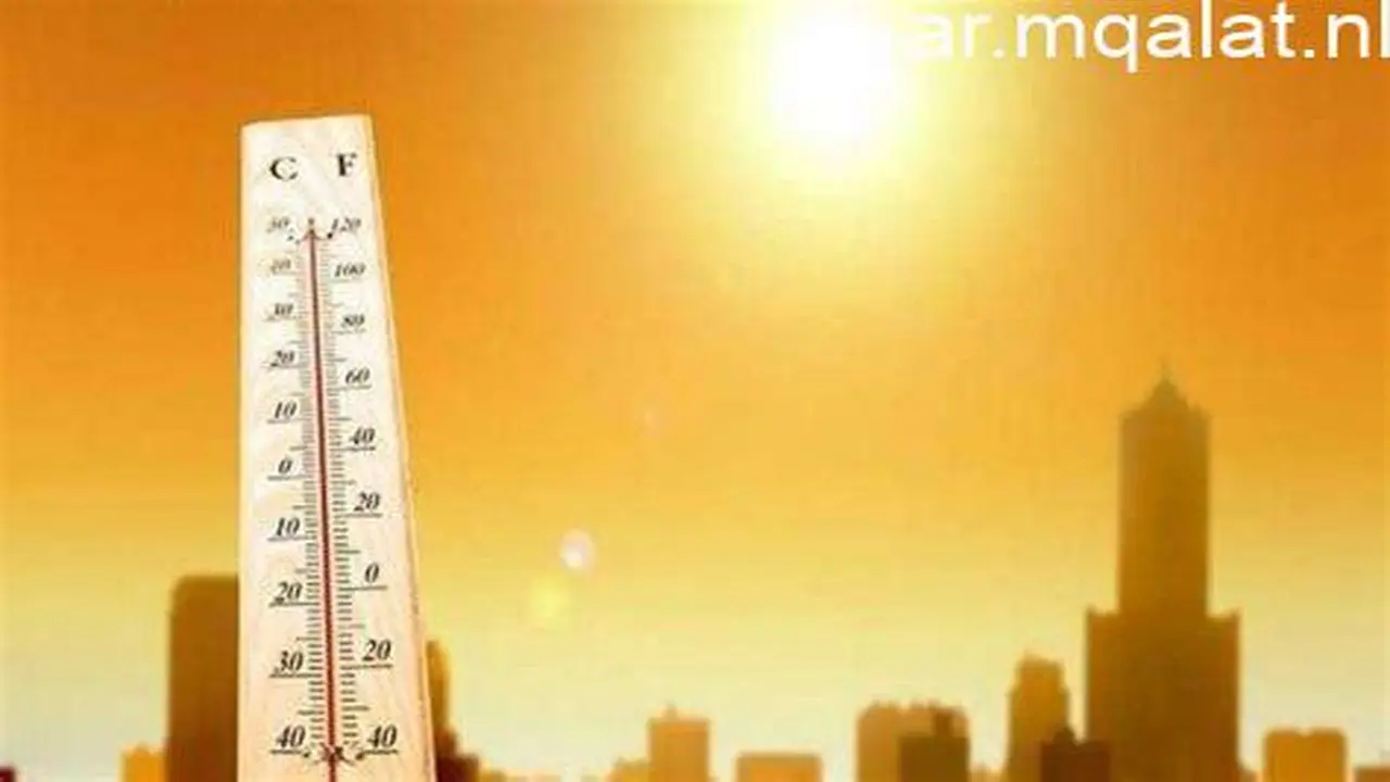 استمرار موجة الطقس الحار وزيادة فترات سطوع الشمس حتى نهاية الأسبوع الحالي